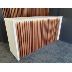 Allan (Custom Reception...